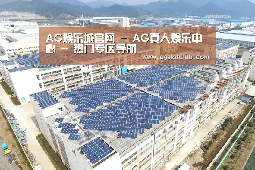 案例展示一