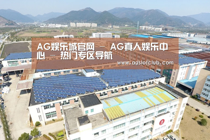 案例展示四