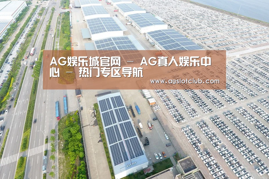 案例展示一