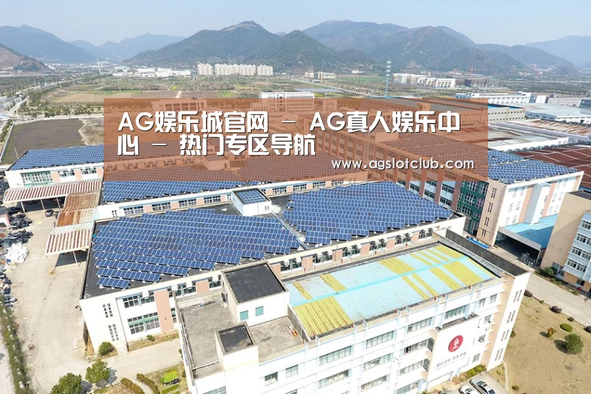 案例展示三