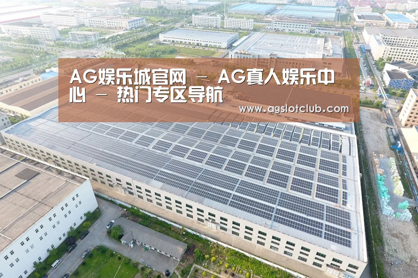 案例展示四